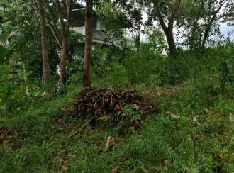 വാസയോഗ്യമായ ഭൂമി വില്പനയ്ക്ക് Trivandrum, Thiruvananthapuram, Mylam