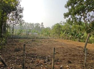 Commercial Land, Ernakulam
