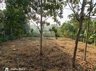 Residential Land for Sale in Ernakulam, Kolenchery, Choondy, Poothrikka