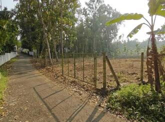 Residential Land for Sale in Ernakulam, Kolenchery, Choondy, Poothrikka