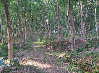 Residential Land for Sale in Kottayam, Pampady, Kooroppada, kooroppada