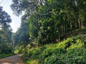 Residential Land for Sale in Kottayam, Pampady, Kooroppada, kooroppada