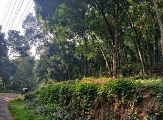 Residential Land for Sale in Kottayam, Pampady, Kooroppada, kooroppada