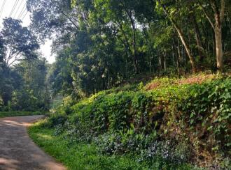 Residential Land for Sale in Kottayam, Pampady, Kooroppada, kooroppada