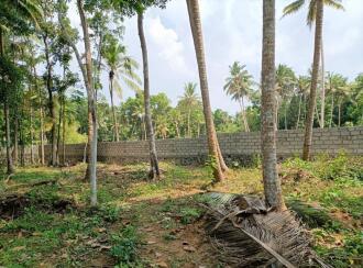 Residential Land for Sale in Trivandrum, Neyyattinkara, Poovar, bund road
