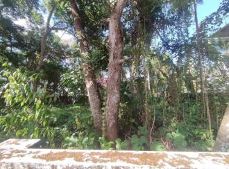 Residential Land for Sale in Kollam, Kollam, Thirumullavaram