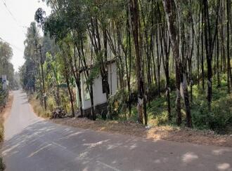 Residential Land for Sale in Malappuram, Nilambur, Mutheeri, Near cheriparambu homeo hospital