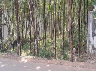 Residential Land for Sale in Malappuram, Nilambur, Mutheeri, Near cheriparambu homeo hospital