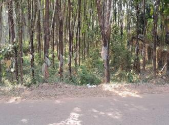 Residential Land for Sale in Malappuram, Nilambur, Mutheeri, Near cheriparambu homeo hospital