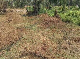 Commercial Land for Sale