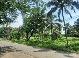 Commercial Land for Sale in Thrissur, Triprayar, Peringottukara, ചാഴൂർ പഞ്ചായത്ത്‌