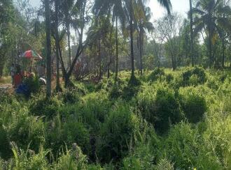 Commercial Land for Sale in Thrissur, Triprayar, Peringottukara, ചാഴൂർ പഞ്ചായത്ത്‌