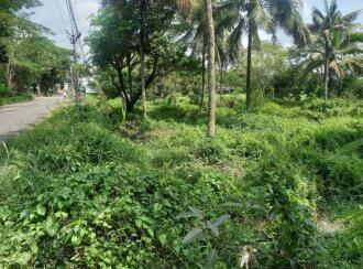 Commercial Land for Sale in Thrissur, Triprayar, Peringottukara, ചാഴൂർ പഞ്ചായത്ത്‌