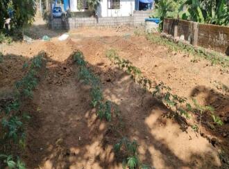 Residential Land for Sale in Ernakulam, Angamaly, Champannoor, mekkad