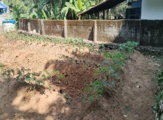Residential Land for Sale in Ernakulam, Angamaly, Champannoor, mekkad