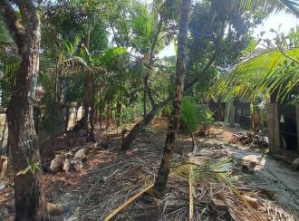 Residential House Villa for Sale in Alleppey, Alappuzha, Kalarcode, SD College