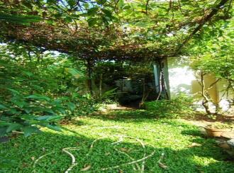 Residential House Villa for Sale in Ernakulam, Kakkanad, Kangarapady, Millumpady Rd, opp. Classic Vintage apartments, Kollamkudimugal, Mundampalam