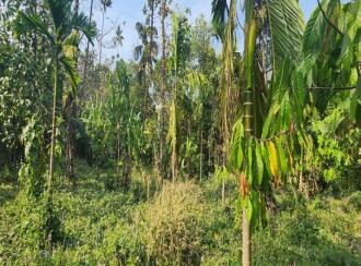 Residential Land for Sale in Idukki, Moolamattom, Arakkulam, Plot No: 24/2904, Near Bishop Vayalil Medical Center, Arakkulam Juction, Moolamattam