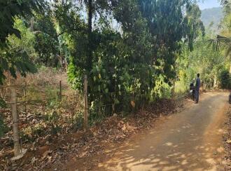 Residential Land for Sale in Idukki, Moolamattom, Arakkulam, Plot No: 24/2904, Near Bishop Vayalil Medical Center, Arakkulam Juction, Moolamattam