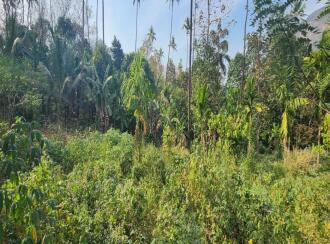Residential Land for Sale in Idukki, Moolamattom, Arakkulam, Plot No: 24/2904, Near Bishop Vayalil Medical Center, Arakkulam Juction, Moolamattam
