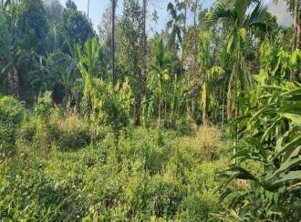 Residential Land for Sale in Idukki, Moolamattom, Arakkulam, Plot No: 24/2904, Near Bishop Vayalil Medical Center, Arakkulam Juction, Moolamattam