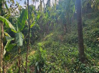 Residential Land for Sale in Idukki, Moolamattom, Arakkulam, Plot No: 24/2904, Near Bishop Vayalil Medical Center, Arakkulam Juction, Moolamattam