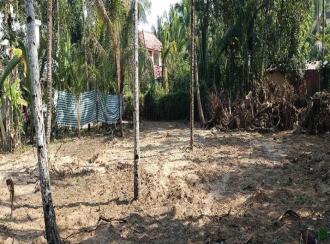 Residential Land, Alleppey