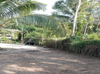 Residential Land for Sale in Alleppey, Mavelikara, Chennithala, Chennithala