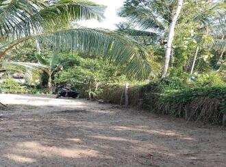 Residential Land for Sale in Alleppey, Mavelikara, Chennithala, Chennithala