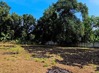 Residential Land for Sale in Ernakulam, Angamaly, Angamaly, Malluserry