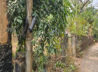 Residential Land for Sale in Kollam, Kollam, Kundara, Near Kuzhimathicadu High School, Kundara, Kollam