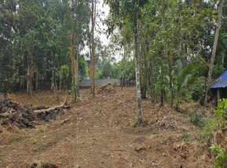 Residential Land for Sale in Kollam, Kollam, Kundara, Near Kuzhimathicadu High School, Kundara, Kollam