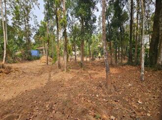 Residential Land for Sale in Kollam, Kollam, Kundara, Near Kuzhimathicadu High School, Kundara, Kollam