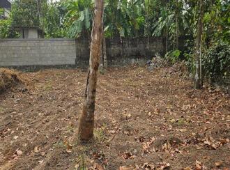 Residential Land for Sale in Kollam, Kollam, Kundara, Near Kuzhimathicadu High School, Kundara, Kollam