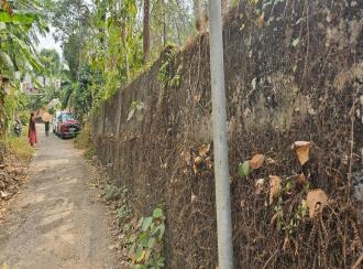 Residential Land for Sale in Kollam, Kollam, Kundara, Near Kuzhimathicadu High School, Kundara, Kollam