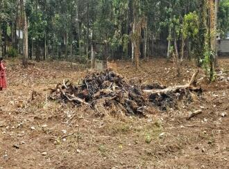 Residential Land for Sale in Kollam, Kollam, Kundara, Near Kuzhimathicadu High School, Kundara, Kollam