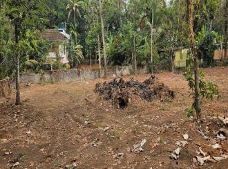 Residential Land for Sale in Kollam, Kollam, Kundara, Near Kuzhimathicadu High School, Kundara, Kollam