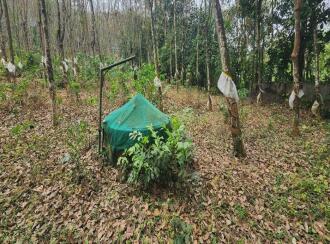 Residential Land for Sale in Kottayam, Pampady, 9th mile, Near Hotel Summer Sand