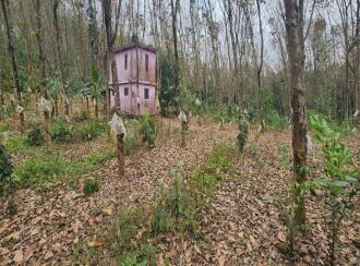 Residential Land for Sale in Kottayam, Pampady, 9th mile, Near Hotel Summer Sand