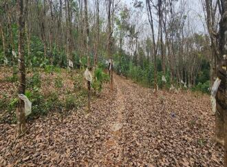 Residential Land for Sale in Kottayam, Pampady, 9th mile, Near Hotel Summer Sand