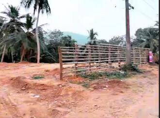 Residential Land for Sale in Trivandrum, Neyyattinkara, Amboori, Near St. Thomas Malankara Catholic Church