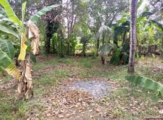 Residential House Villa for Sale in Pathanamthitta, Thiruvalla, Kurishu Kavala