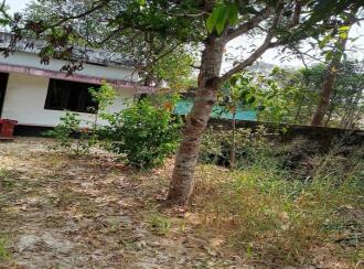 Residential Land for Sale in Alleppey, Cherthala, Kanichukulangara, NH 66