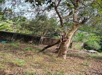Residential Land for Sale in Alleppey, Cherthala, Kanichukulangara, NH 66