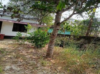 Residential Land for Sale in Alleppey, Cherthala, Kanichukulangara, NH 66