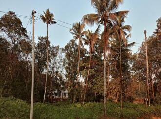 Residential Land for Sale in Ernakulam, Kothamangalam, Nellimattom, near mbits enqineering colleage