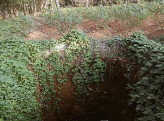 Residential Land for Sale in Ernakulam, Kothamangalam, Nellimattom, near mbits enqineering colleage