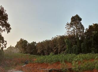 Residential Land for Sale in Ernakulam, Kothamangalam, Nellimattom, near mbits enqineering colleage