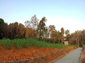Residential Land for Sale in Ernakulam, Kothamangalam, Nellimattom, near mbits enqineering colleage