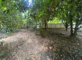 Residential Land for Sale in Ernakulam, Aluva, Kanjoor